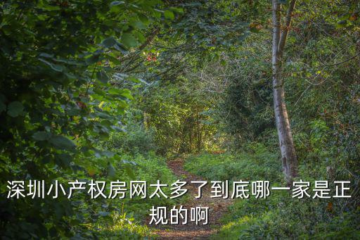 深圳小產權房網太多了到底哪一家是正規的啊