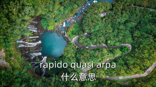 rapido，買了個Rapido中文是什么有人知道不