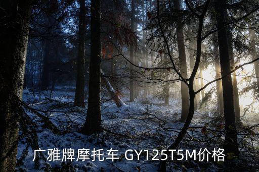 廣雅牌摩托車 GY125T5M價格