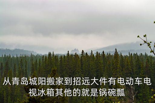 從青島城陽搬家到招遠大件有電動車電視冰箱其他的就是鍋碗瓢