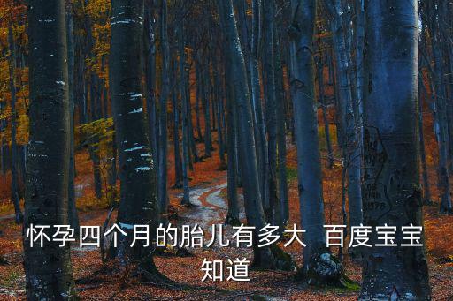 懷孕四個月胎兒，懷孕快四個月了胎兒有多大了  百度寶寶知道