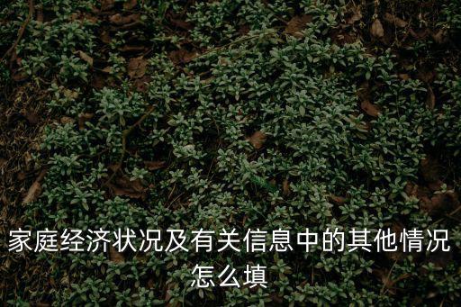 家庭經濟狀況及有關信息中的其他情況怎么填