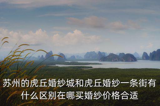 蘇州的虎丘婚紗城和虎丘婚紗一條街有什么區(qū)別在哪買(mǎi)婚紗價(jià)格合適