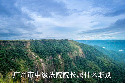 廣州市中級法院院長屬什么職別
