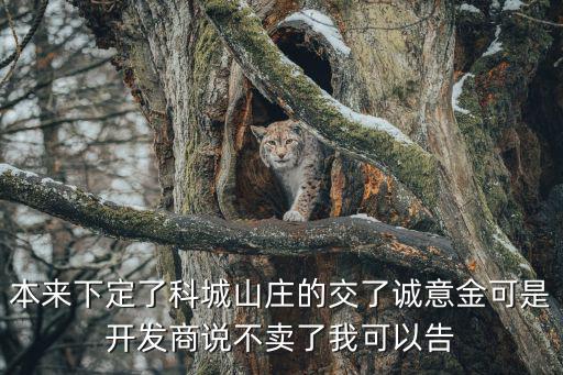 本來(lái)下定了科城山莊的交了誠(chéng)意金可是開(kāi)發(fā)商說(shuō)不賣(mài)了我可以告