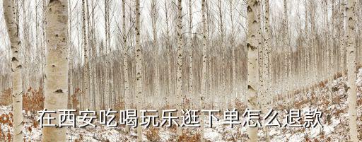 在西安吃喝玩樂逛下單怎么退款