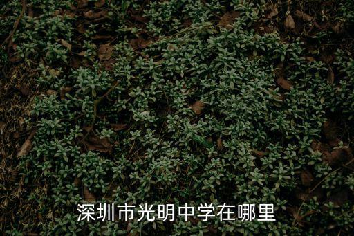 深圳光明中學(xué)，深圳明珠中學(xué)和深圳光明中學(xué)哪個好