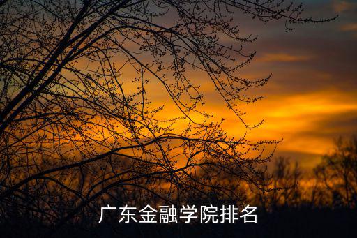 廣東金融學院排名