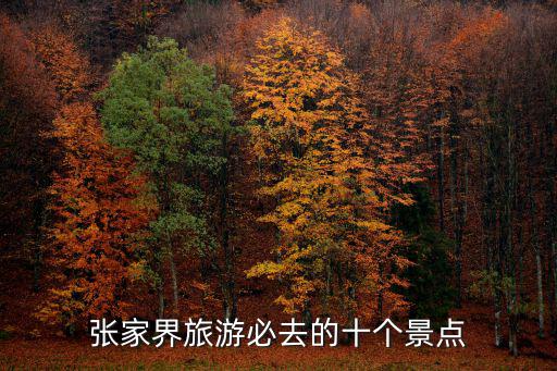 張家界旅游必去的十個景點