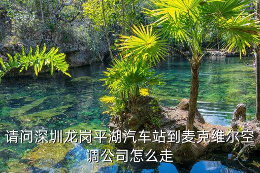 請問深圳龍崗平湖汽車站到麥克維爾空調公司怎么走