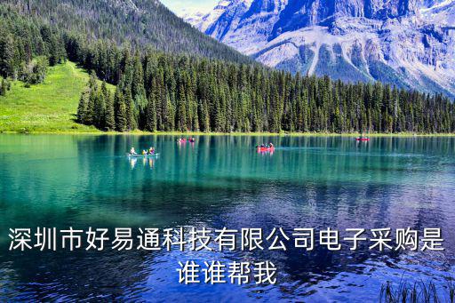 深圳市好易通科技有限公司電子采購(gòu)是誰(shuí)誰(shuí)幫我