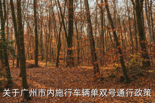 廣州限行政策，廣州市道路禁行