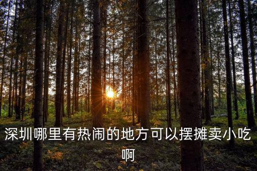 深圳商鋪出售，深圳哪里有熱鬧的地方可以擺攤賣小吃啊