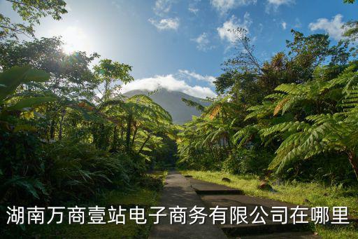 湖南萬商壹站電子商務有限公司在哪里