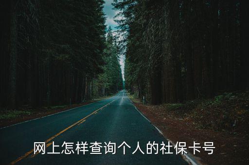 網上怎樣查詢個人的社保卡號