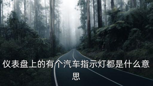 儀表盤上的有個汽車指示燈都是什么意思