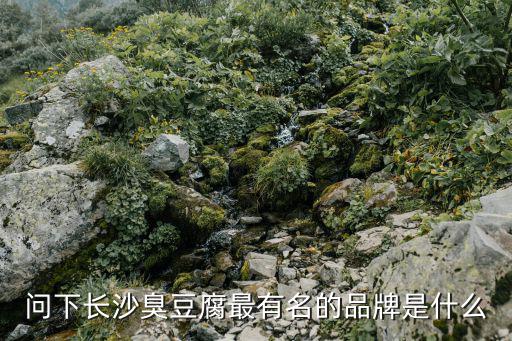 問下長沙臭豆腐最有名的品牌是什么