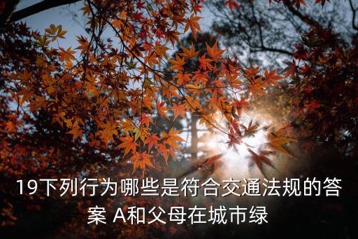19下列行為哪些是符合交通法規的答案 A和父母在城市綠