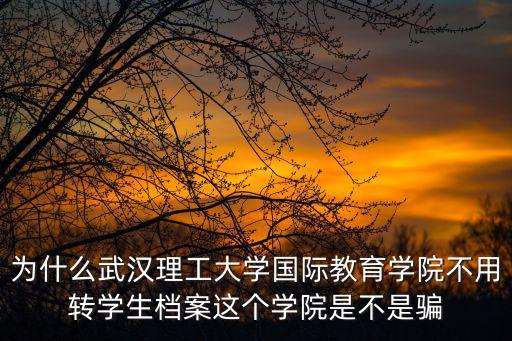 為什么武漢理工大學國際教育學院不用轉學生檔案這個學院是不是騙