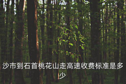沙市到石首桃花山走高速收費標準是多少
