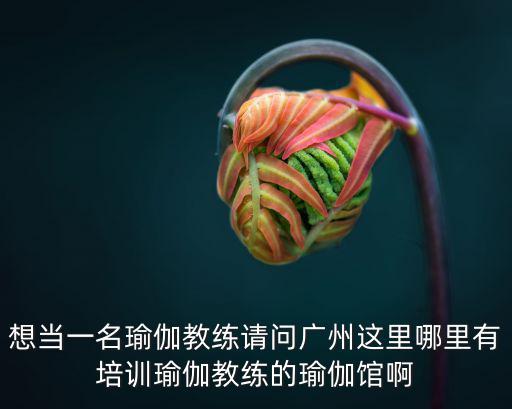 想當(dāng)一名瑜伽教練請問廣州這里哪里有培訓(xùn)瑜伽教練的瑜伽館啊
