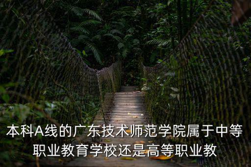 本科A線的廣東技術(shù)師范學(xué)院屬于中等職業(yè)教育學(xué)校還是高等職業(yè)教