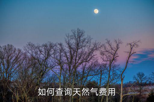 如何查詢天然氣費用