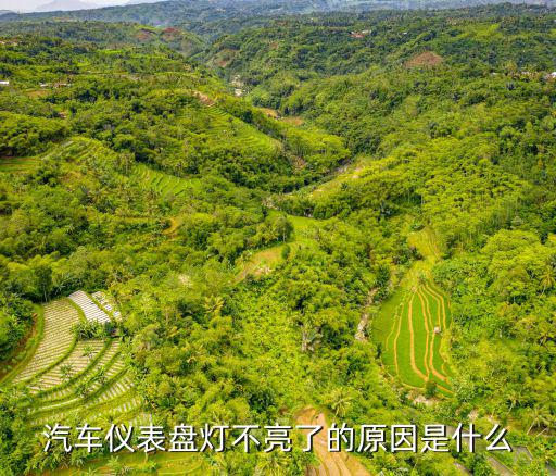 汽車儀表燈，汽車儀表正常情況下有哪些燈亮正常