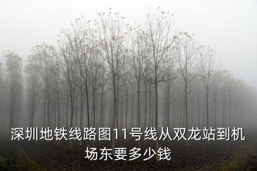 深圳地鐵線路圖11號線從雙龍站到機場東要多少錢