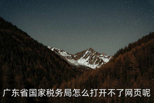 廣東省國家稅務局怎么打開不了網頁呢
