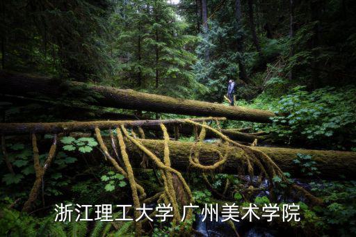 浙江理工大學 廣州美術學院