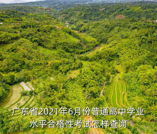 廣東省學(xué)業(yè)水平考試成績(jī)查詢(xún)，廣東省學(xué)業(yè)水平考試成績(jī)什么時(shí)候公布