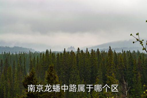 南京龍?bào)粗新穼儆谀膫€(gè)區(qū)