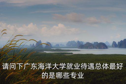 請(qǐng)問(wèn)下廣東海洋大學(xué)就業(yè)待遇總體最好的是哪些專業(yè)