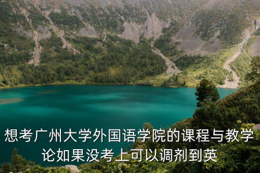 想考廣州大學外國語學院的課程與教學論如果沒考上可以調劑到英
