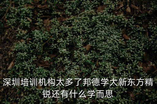 深圳培訓機構太多了邦德學大新東方精銳還有什么學而思