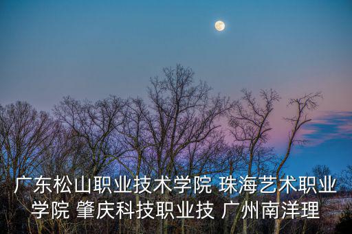 廣東松山職業(yè)技術(shù)學院 珠海藝術(shù)職業(yè)學院 肇慶科技職業(yè)技 廣州南洋理