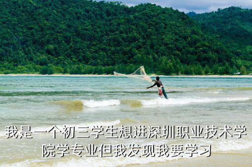 深圳職業(yè)技術(shù)學(xué)院專業(yè)，我是一個初三學(xué)生想進(jìn)深圳職業(yè)技術(shù)學(xué)院學(xué)專業(yè)但我發(fā)現(xiàn)我要學(xué)習(xí)
