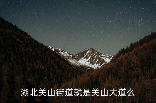 關山街道，湖北關山街道就是關山大道么