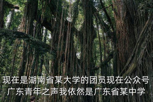 現在是湖南省某大學的團員現在公眾號廣東青年之聲我依然是廣東省某中學