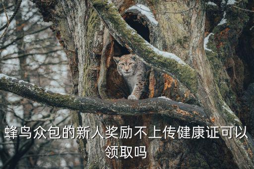 蜂鳥眾包的新人獎勵不上傳健康證可以領取嗎