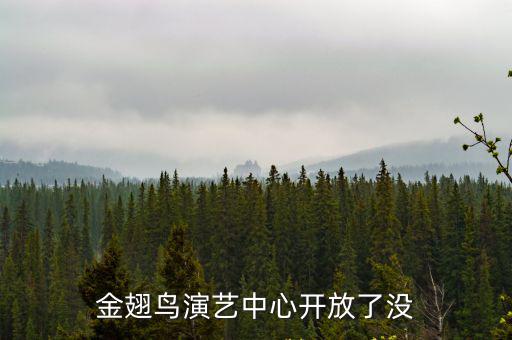西安金翅鳥(niǎo)演藝，曲江之夜的演藝聽(tīng)說(shuō)很棒比以前金翅鳥(niǎo)強(qiáng)太多了門(mén)票多少錢(qián)