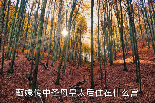 甄嬛傳中圣母皇太后住在什么宮