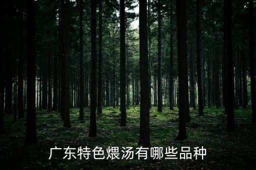 廣東特色煨湯有哪些品種