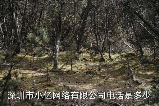 深圳市小億網(wǎng)絡(luò)有限公司電話是多少