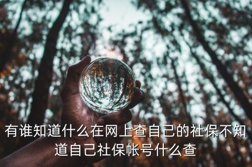 有誰知道什么在網上查自己的社保不知道自己社保帳號什么查