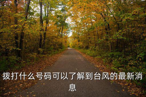 臺風(fēng)110，撥打什么號碼可以了解到臺風(fēng)的最新消息