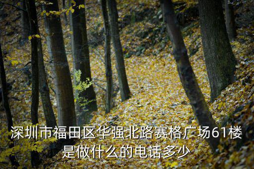深圳市福田區華強北路賽格廣場61樓是做什么的電話多少