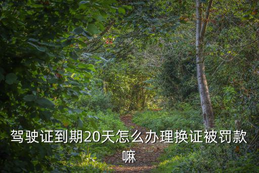 駕駛證到期20天怎么辦理換證被罰款嘛