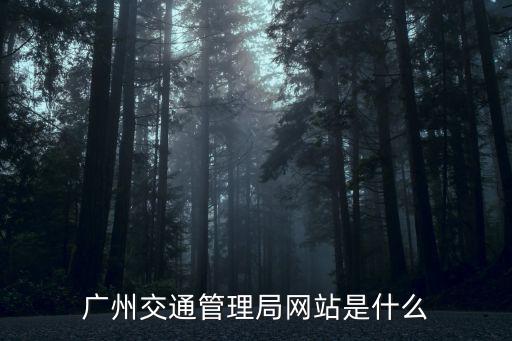 廣州交通管理局網站是什么